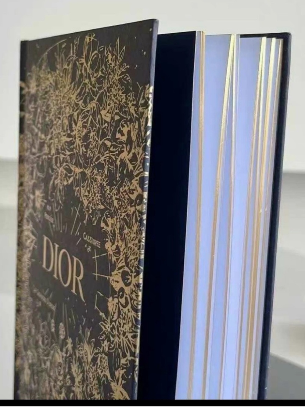 Dior notebook - Picture 4 of 5